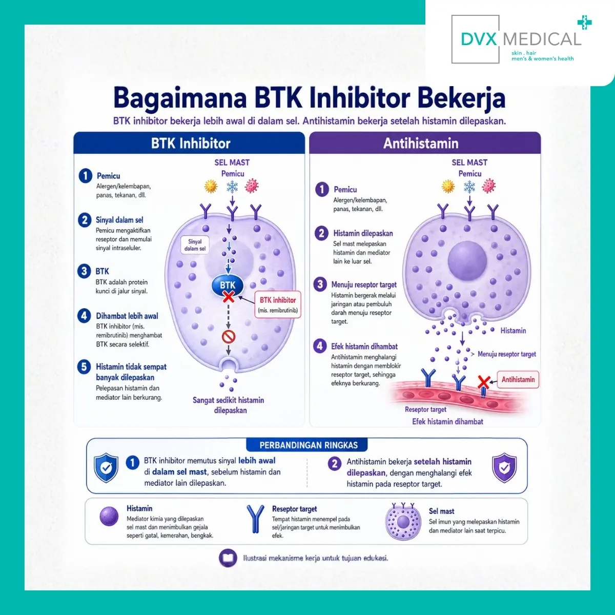 Bagaimana BTK Inhibitor Bekerja