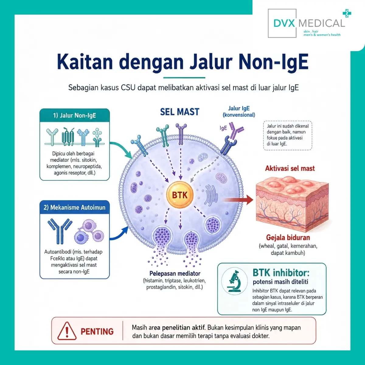 Kaitan dengan Jalur Non-IgE
